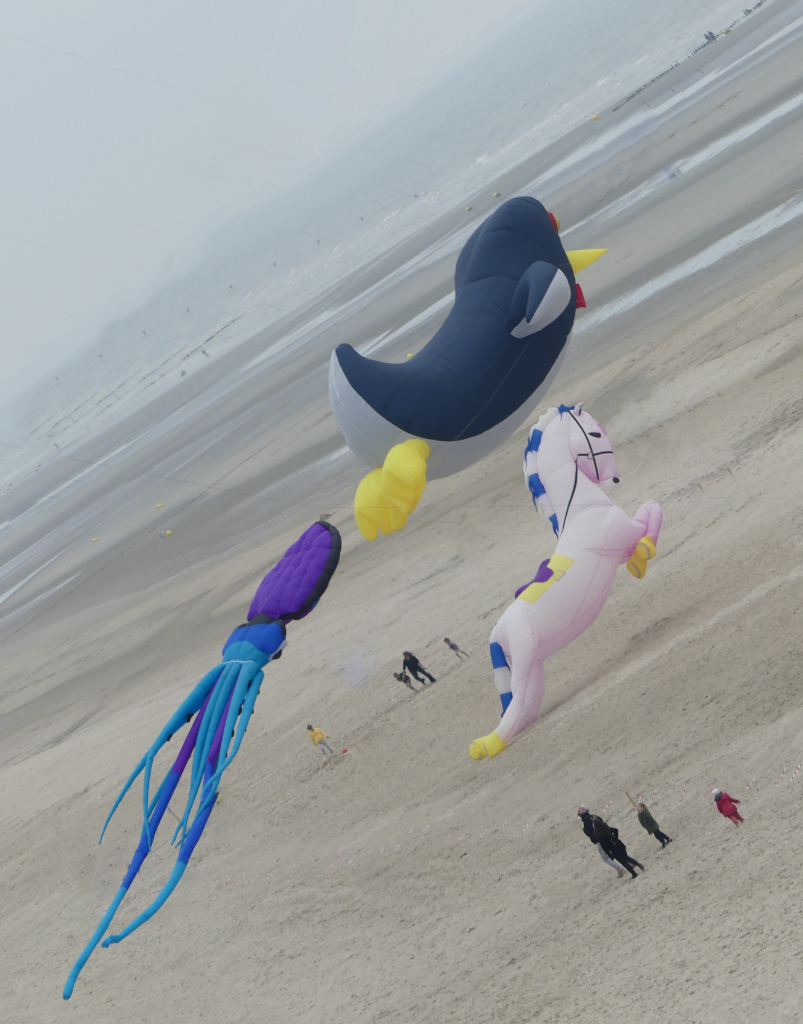 là-bas un cheval rose aussi grand qu'un immeuble qui danse avec élégance et légèreté